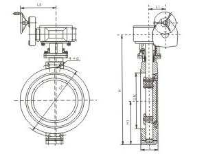 D371X-16蝸輪蝶閥結(jié)構(gòu)圖